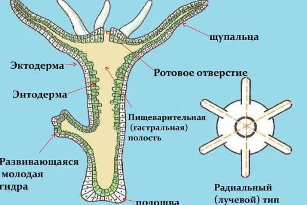 Кракен через тор браузер