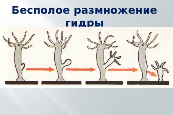 Мега кракен